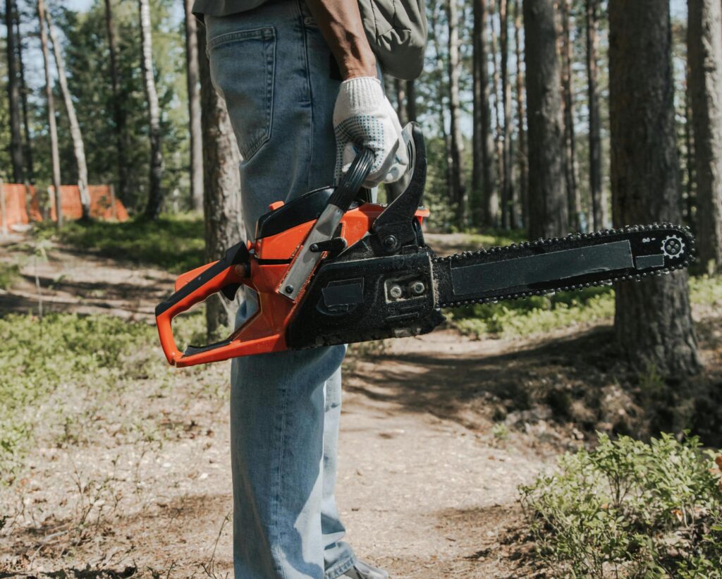 Colorado Tree Service