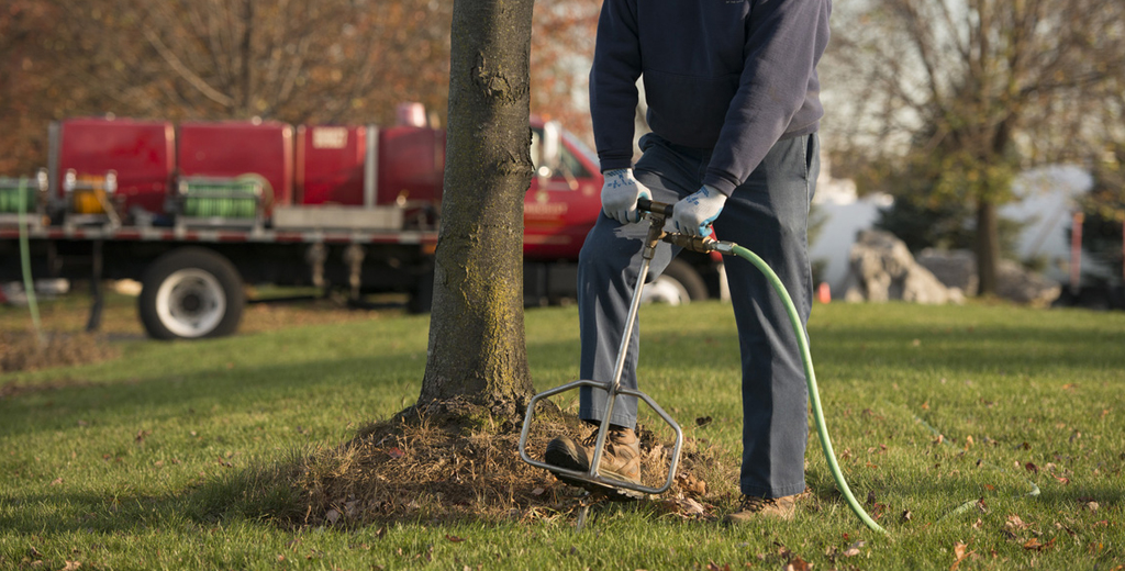 Deep Root Fertilization in the Denver Metro Area, CO