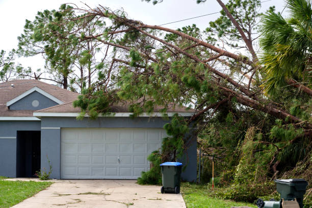 Storm cleanup service in the Denver Metro Area, CO