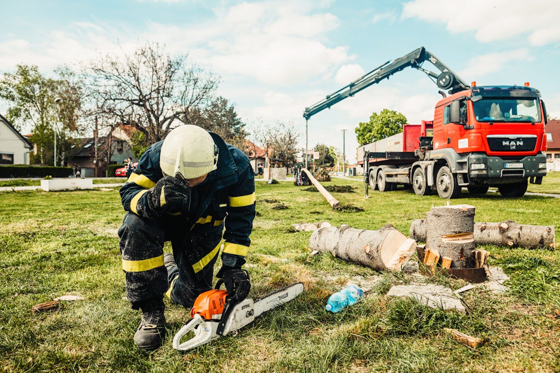 Expert tree pruning service in the Denver Metro Area