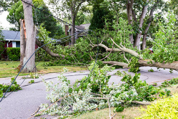 Storm cleanup in the Denver Metro Area, CO